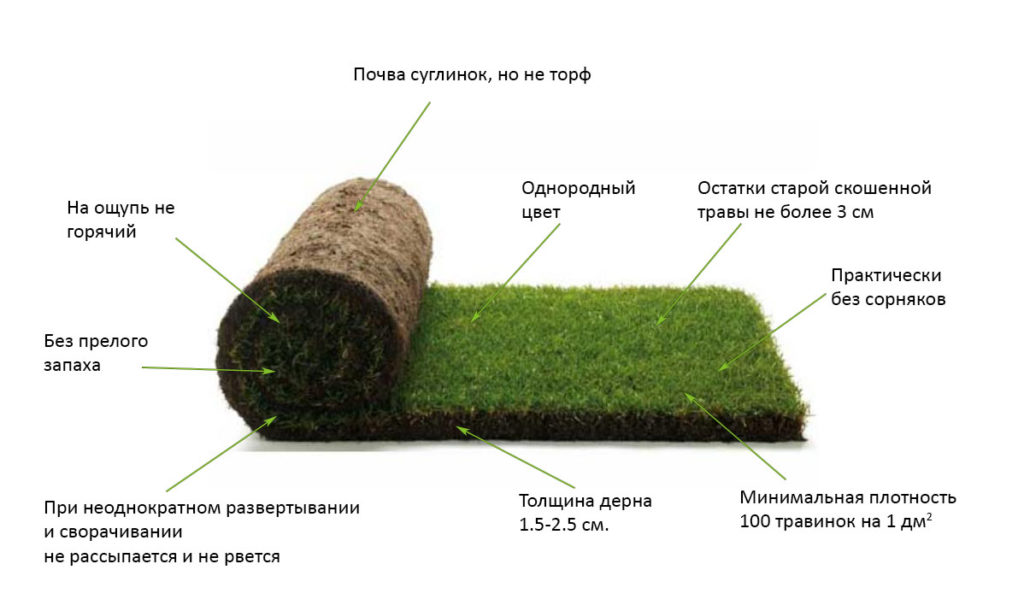 Устройство газона схема